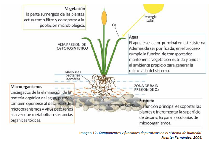 proyecto regenerativo proyecto regenerativo