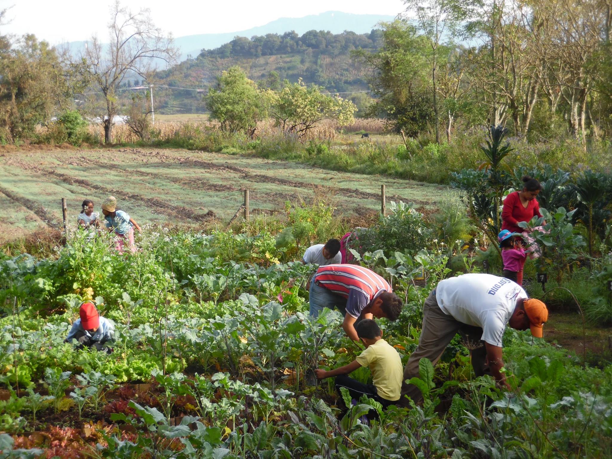 Small-scale agroecological farmer network in the Valle de Bravo-Amanalco watershed region