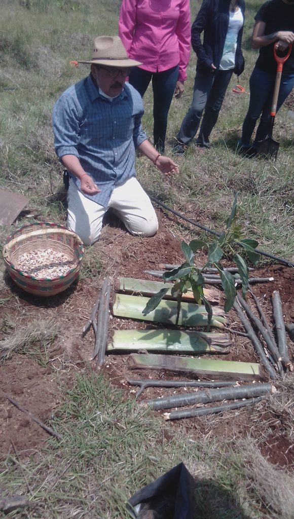 sintropía Maestría en Agroecología