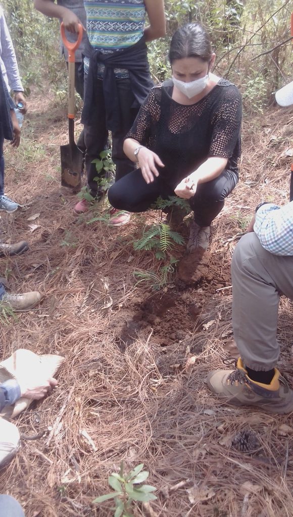 suelos Maestría en agroecología, suelos