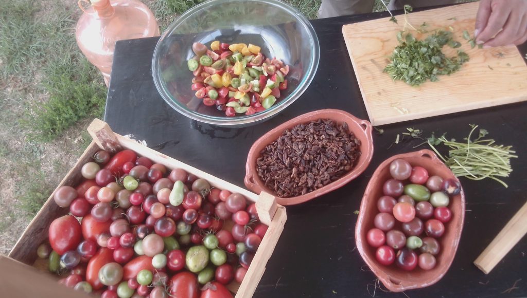 alimentos Maestría en agroecología, Sistema Alimentario