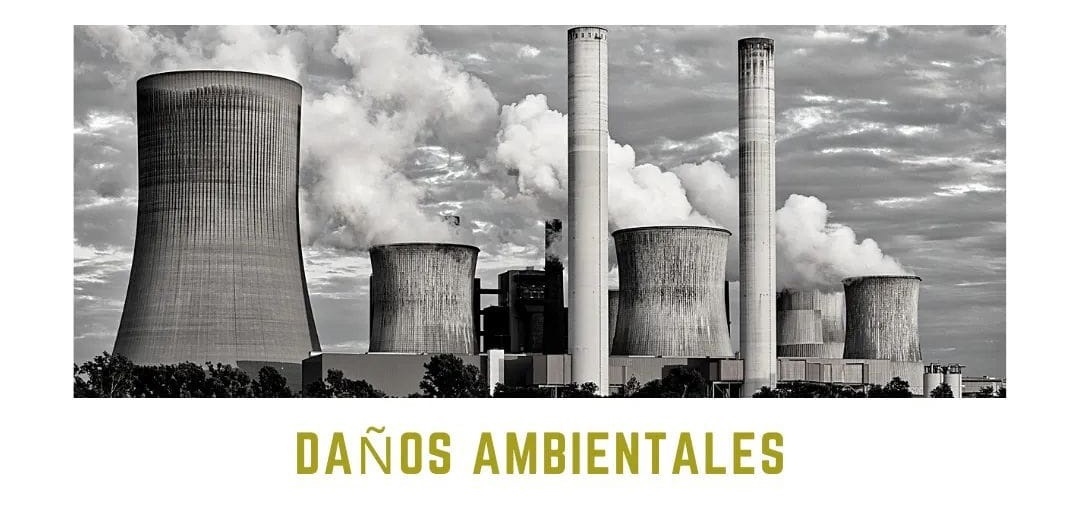Responsabilidad ambiental: tipos y alcances