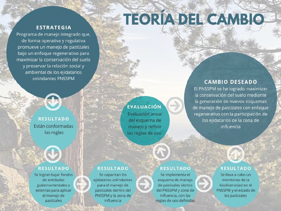 Regeneración y políticas públicas ambientales