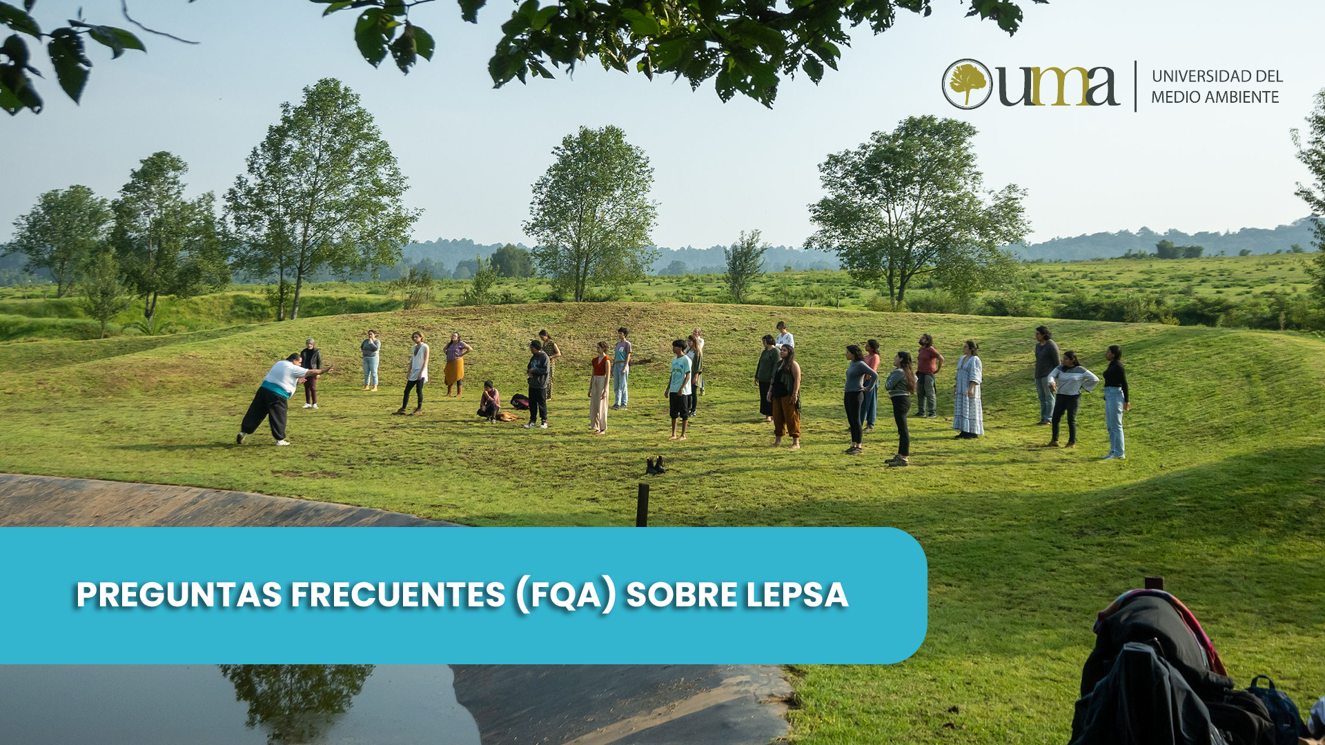 Preguntas Frecuentes (FQA) sobre LEPSA