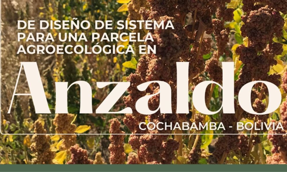 Mi proyecto agroecológico: Diseño de sistema para una parcela agroecológica en Anzaldo, Bolivia