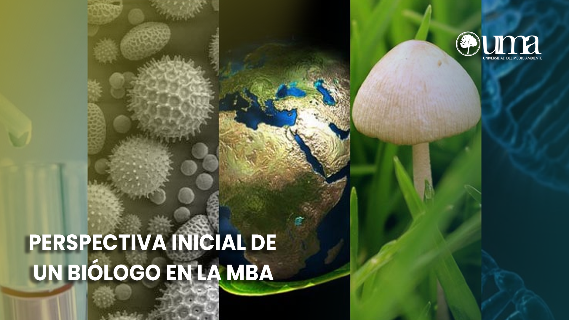 Perspectiva Inicial de un Biólogo en el Green MBA