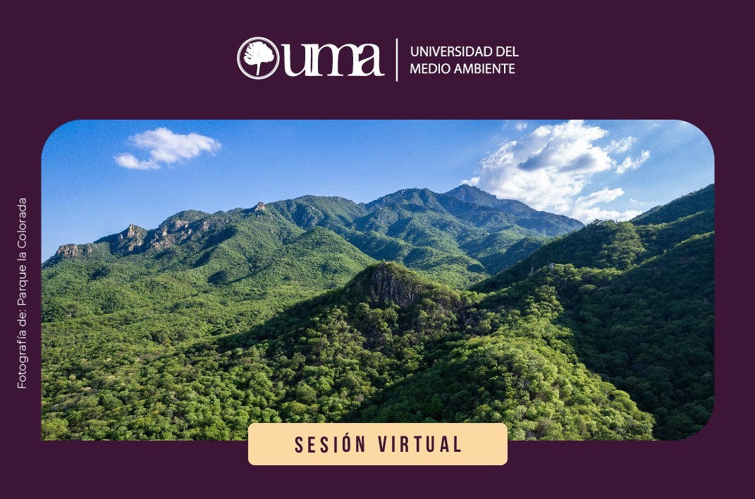 SESIÓN VIRTUAL SOBRE LAS REFORMAS PARA FORTALECER E INCENTIVAR LA CONSERVACIÓN VOLUNTARIA EN EL ESTADO DE SONORA