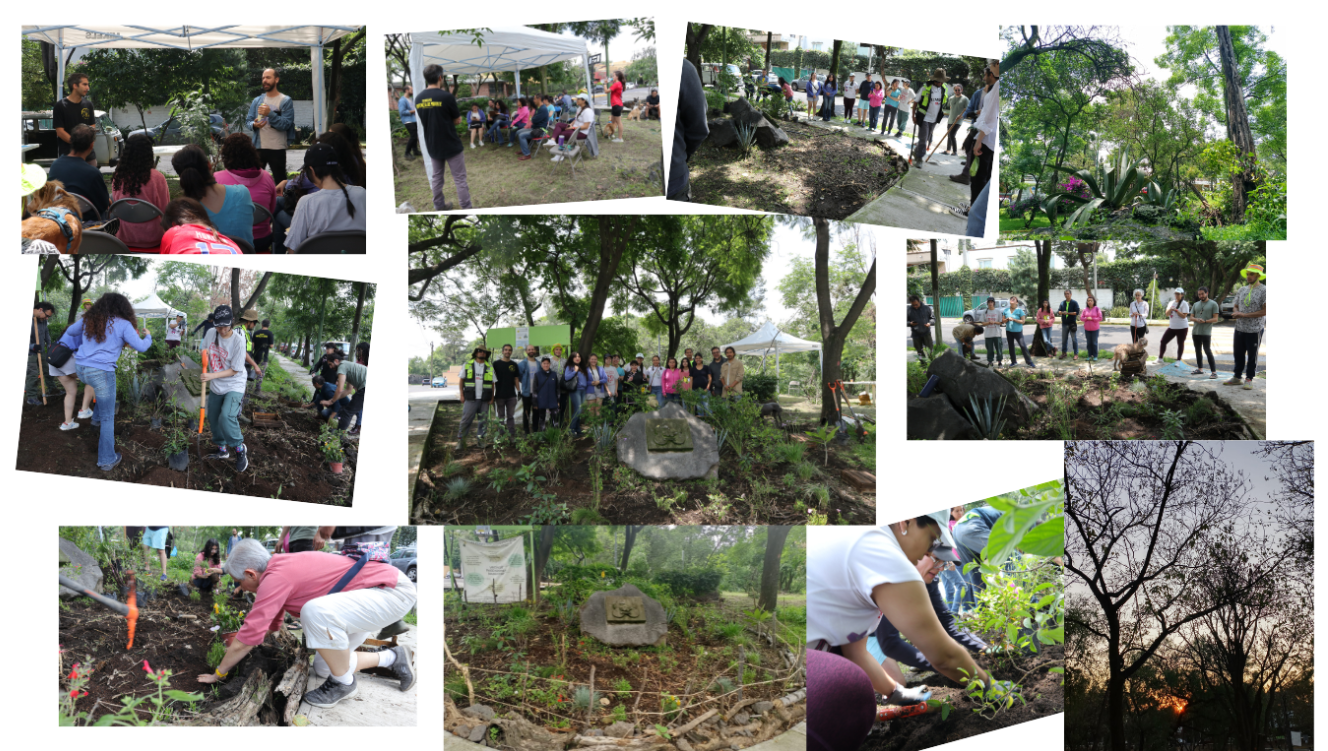 PROYECTO SOCIOAMBIENTAL COMUNIDAD OMETOCHTLI